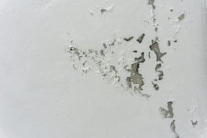 Wasserschaden an der Decke 