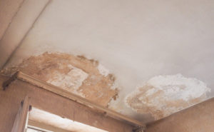 Gutachter für Sanitärinstallation