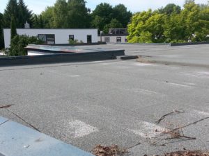 Gutachter Dach